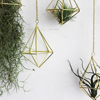 Air Plants Live Holders 6 Pcs Glod Diamond Hanging Planter Small Air Plant Holders Unique with Chains Air Ferns Tillandsia Display for Indoor