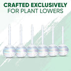 Clear Plant Watering Globes Set of 6 - Small Self Watering Globes for Indoor & Outdoor Plants - Automatic, Glass Watering Bulbs for Daily Use, Plant Watering Devices