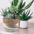 Woven Seagrass Planter Basket for Indoor Plants Decorative Storage Organizer Rustic Flower Pot for Faux Plants and Home for Windowsills and Living Spaces