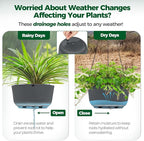 T4U 10 Inch Hanging Planters for Indoor Outdoor Plants, Hanging Plant Pot Pack of 2, Self Watering Hanging Pots with Drainage Hole & Plug & Chain with 3 Hooks for Garden Home Decor, Grey