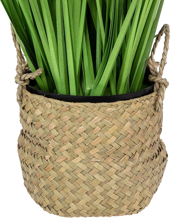 Northlight Artificial Onion Grass Plant in Basket, 28", Green