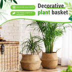 Large Wicker Plant Basket with Handle 10 Inch Woven Seagrass Belly Basket and Artificial Moss for House Plants Picnic Grocery Laundry Storage Home Decor(Small, Medium, Large,Original,3 Pack)
