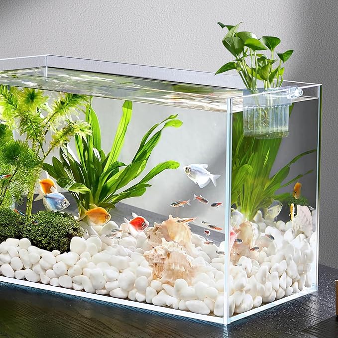 Aquarium Plant Holder,2Pack Transparent Hanging Pot for Fish Tank Aquatic Plant Cultivation and Aquascape Decorations Planter Cups with Hook and Screws