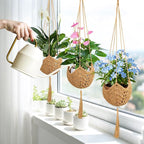 6 Pack Hand-Woven Macrame Plant Hanger - Hanging Plant Holder with 12 Hooks for Indoor Green Plant Hanging and Bohemian Style Home Decor (Brown)