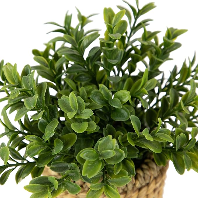 Northlight Milan Leaf Artificial Mini Bush in Rattan Basket - 7"