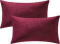 Lumbar Pillow Covers 12x20 Burgundy: Pack of 2 Cozy Soft Velvet Rectangular Modern Luxury Decorative Throw Pillow Cases for Christmas Sofa Couch Living Room Bed Home Decor