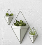 Umbra Trigg Hanging Planter Vase Wall Decor, Set of 2 Pots Containers for Succulents, Cactus, Faux Plants, and More, Small, White/Nickel