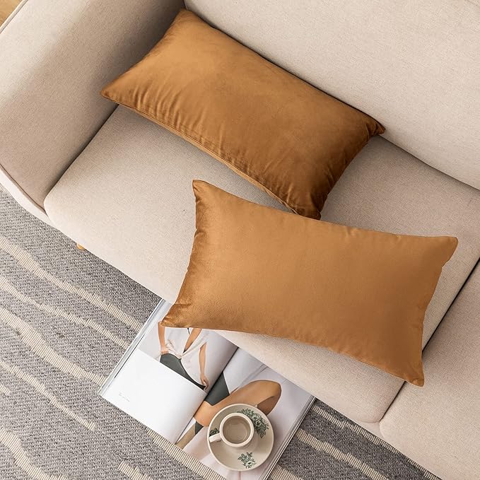NiNi ALL Decorative Throw Pillow Covers Pack of 2, Velvet Cushion Case for Couch Bedroom Living Room Outdoor, Pillow Covers 12x20 Inch（30 x 50 cm） Brown