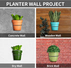 6 Pack 6 Inch Wall Plant Holder,Metal Plant Hanger Indoor,Wall Planters For Indoor Plants,Black
