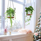 Set of 2 Hanging Planters for Indoor Outdoor Plants, 8 Inch Self-Watering Hanging Flower Pots with Drainage Hole & Removable Water-Storage Tray (Hooks)