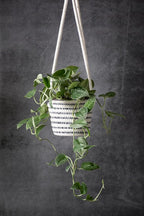 SuperMoss (54029 SoftWeave Hanging Planters for Indoor Plants 6″, Mixed Case, Set of 3, 6 inch Plant Flower Pots