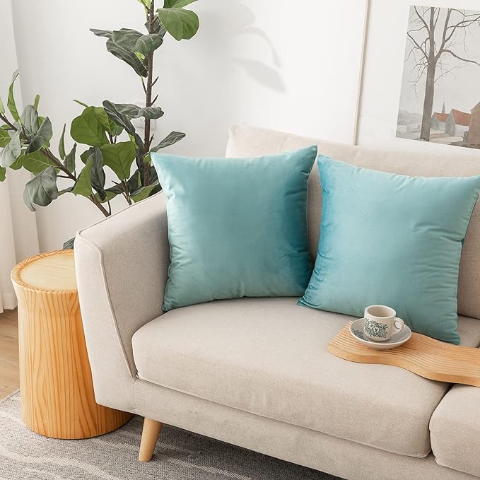 NiNi ALL Decorative Throw Pillow Covers Pack of 2, Velvet Cushion Case for Couch Bedroom Living Room Outdoor, Pillow Covers 24x24 Inch（60 x 60 cm） Light Blue