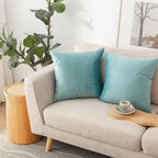 NiNi ALL Decorative Throw Pillow Covers Velvet 26x26 Inch Pack of 2 Light Blue Cushion Covers Soft for Couch Sofa Bedroom Living Room Outdoor