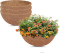 GreatBuddy 4 Pcs Coconut Hanging Basket Liners 10 Inch, Sturdy Round Coco Liners for Planters, Perfect Replacement for The Old, 100% Natural, Easy to Straighten Out
