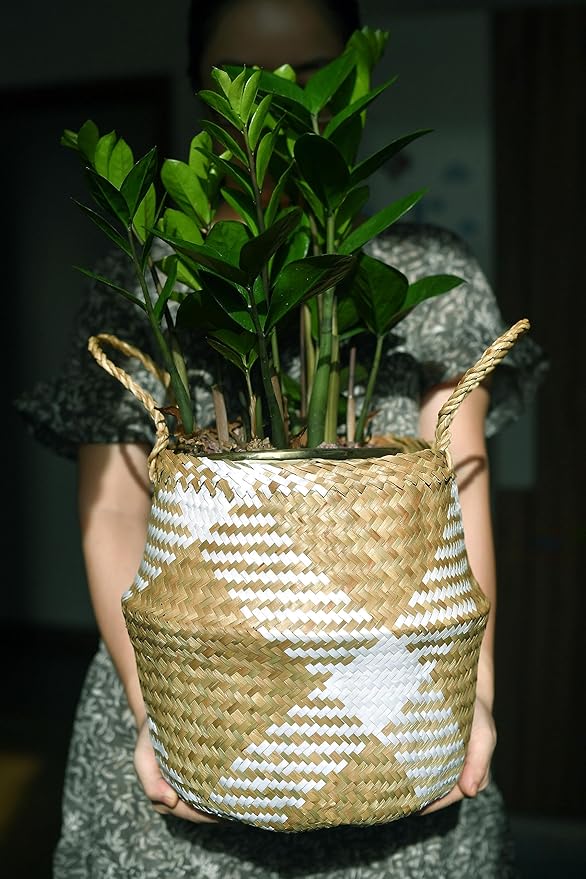 LiloCraft Seagrass Plant Basket XLarge (Size: 14x13inches, Pattem: White Diamond) - TheMulti Functional Home Decor Storage Solution with Eco-Friendly, Woven Basket Planter Indoor with Handles, Round