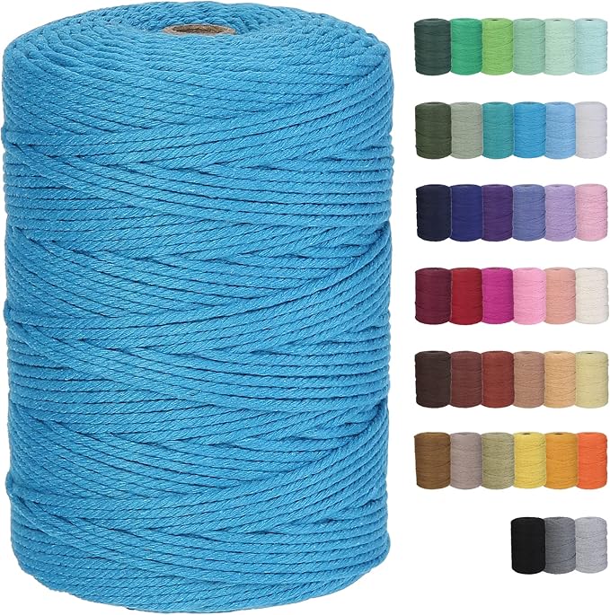 Cotton Macrame Cord 3mm 328yards Natural Colored Macrame Supplies, Soft Craft Cotton Rope for Plant Hanger Wall Hanger Dreamcatcher (Dodger Blue)
