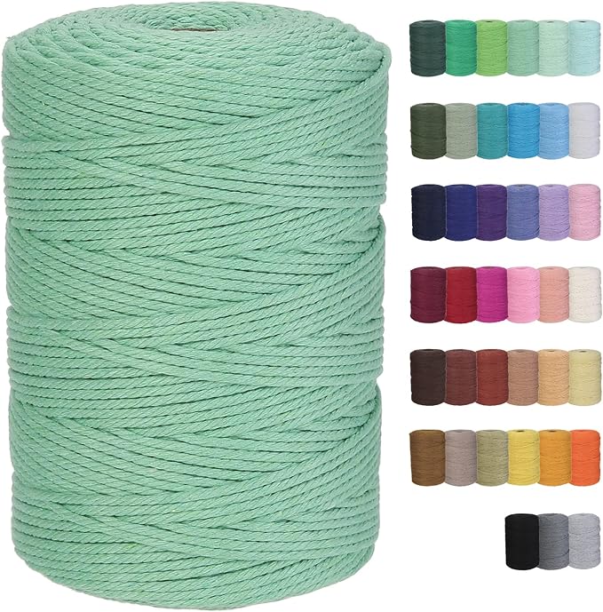 Cotton Macrame Cord 3mm 328yards Natural Colored Macrame Supplies, Soft Craft Cotton Rope for Plant Hanger Wall Hanger Dreamcatcher (Aqua Green)
