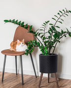 D'vine Dev 12 Inch Modern Geometric Tile Patterned Sleek Planter Pot with Stand, Indoor Outdoor Decorative Plant Holder, Distressed Black, 88-Z-C-5