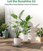 2 Pack Plant Caddy with Wheels, 14" Wood Rolling Plant Stand with 360° Lockable Wheels, Plant Stands Outdoor for Large Plants, Flower Cart Plant Dolly Plant Caster for Heavy Objects, Walnut