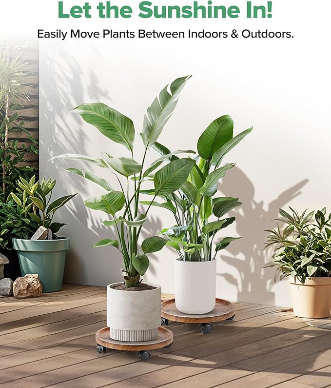 2 Pack Plant Caddy with Wheels, 14" Wood Rolling Plant Stand with 360° Lockable Wheels, Plant Stands Outdoor for Large Plants, Flower Cart Plant Dolly Plant Caster for Heavy Objects, Walnut