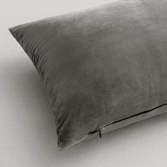 MIULEE 26x26 Inch Euro Sham Velvet Pillow Covers, Set of 2 Large Square Decorative Pillows -Grey Super Soft for King Bed, Sofa, Couch, Accent Chairs with Hidden Zipper