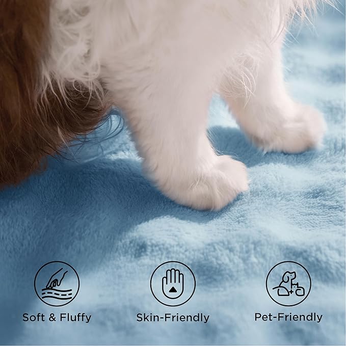 Bedsure 3x5 Fluffy Area Rugs for Living Room, Machine Washable Rugs, Non-Slip Backing, Non-Shedding, Pet Friendly Throw Rug for Bedroom Dining Room, Rug for Kids Room, Celestial Blue