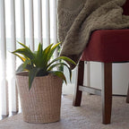 Household Essentials Handwoven Cattail Wicker Waste Basket, Natural