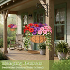 4 Pack 14 Inch Hanging Baskets for Plants Outdoor Metal Hanging Planter Hanging Flower Baskets with Coco Fiber Liners Chain Round Wire Plant Holder Hanging Flower Pots(Flower Border)