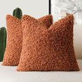 Foindtower 2 Pieces 18x18 Inch Burnt Orange, Faux Fur Throw Pillow Cover Accent Sherpa Furry Pillow Cover Fuzzy Soft Pillowcases Cozy Sheepskin Decorative Fleece Cushion Case for Bed Couch Living Room