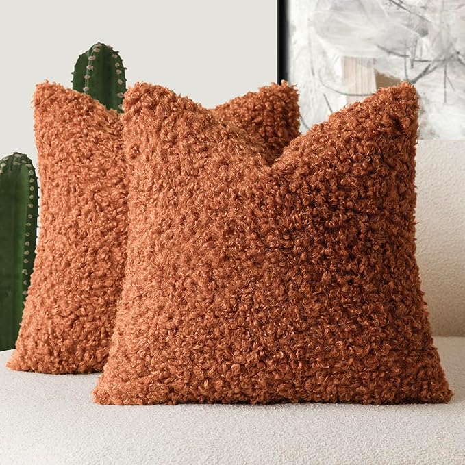 Foindtower 2 Pieces 16x16 Inch Burnt Orange, Faux Fur Throw Pillow Cover Accent Sherpa Furry Pillow Cover Fuzzy Soft Pillowcases Cozy Sheepskin Decorative Fleece Cushion Case for Bed Couch Living Room