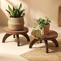 Novabright 2 Pcs Short Plant Pedestal Wood Plant Stool Round Low Wood Riser Pedestal Display Decor Flower Indoor Outdoor Rustic Farmhouse Table Balcony Decor Board Flower Holder Rise (Rustic Color)