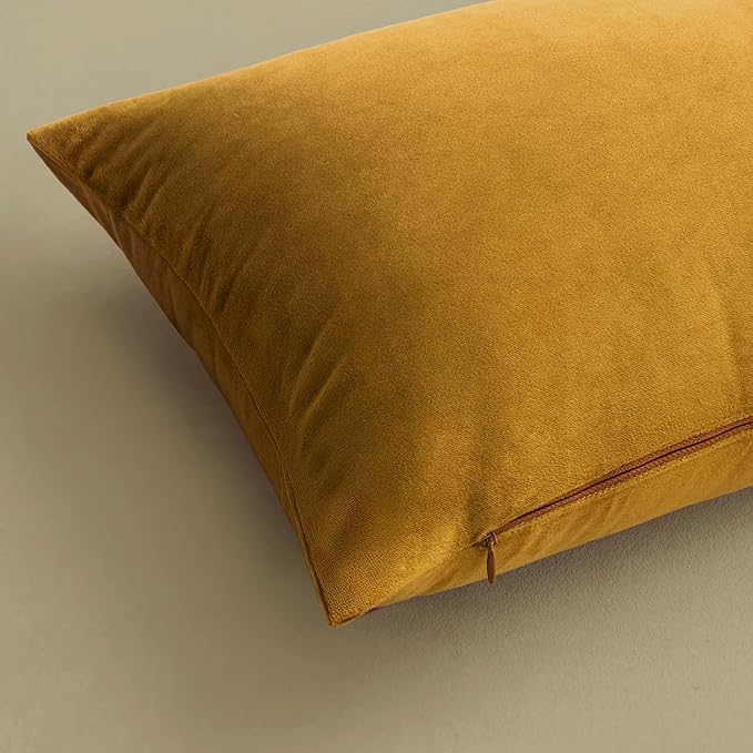 MIULEE 24x24 Inch Euro Sham Velvet Pillow Covers, Set of 2 Large Square Spring Decorative Pillows -Mustard Yellow Super Soft for King Bed, Sofa, Couch, Accent Chairs with Hidden Zipper