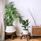 Novabright 2 Pcs Short Plant Pedestal Wood Plant Stool Round Low Wood Riser Pedestal Display Decor Flower Indoor Outdoor Rustic Farmhouse Table Balcony Decor Board Flower Holder Rise (Rustic Color)
