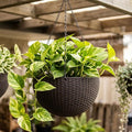LaLaGreen Hanging Planters for Indoor Plants (11 Inch, 3 Pack) Brown Rattan Style Self-Watering Flower Pots with Water Level Indicator, Plastic Baskets with Metal Chain for Balcony, Porch Garden Decor