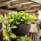 LaLaGreen Hanging Planters for Indoor Plants (11 Inch, 3 Pack) Brown Rattan Style Self-Watering Flower Pots with Water Level Indicator, Plastic Baskets with Metal Chain for Balcony, Porch Garden Decor