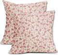 Light Pink Floral Pillow Covers 20x20 Set of 2 Vintage Rustic Old Style Cute Small Flower Pink Cream Print Decorative Outdoor Pillowcases Farmhouse Throw Cushion Case Decor for Couch Sofa Bed