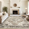 3x5 Area Rug - Washable Kitchen Rugs Non Slip,Soft Low Pile Small Rug for Entryway, Stain Resistant Vintage Area Rugs for Home Decor(Brown/Beige, 3'x5')