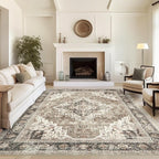 3x5 Area Rug - Washable Kitchen Rugs Non Slip,Soft Low Pile Small Rug for Entryway, Stain Resistant Vintage Area Rugs for Home Decor(Brown/Beige, 3'x5')