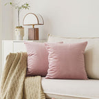 NiNi ALL Decorative Throw Pillow Covers Pack of 2, Velvet Throw Pillow Cases for Couch Pillows Cover Bedroom Living Room Outdoor Pillow Covers 22x22 Inch Dusty Pink