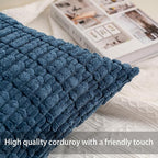 Pack of 2 Corduroy Decorative Throw Pillow Covers 24x24 Inch Soft Striped Pillow Covers Modern Farmhouse Home Decor for Sofa Living Room Couch Bed（Sky Blue）
