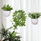 YIBOT 3 Pack Macrame Plant Hanger Indoor Hanging Planter for Plants Holder with 3 Hooks, 35"/29"/23" Size No Tassels for Boho Home Decor, Ivory (POTS NOT Included)