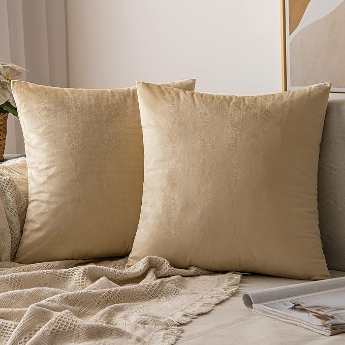 MIULEE Velvet Throw Pillow Covers 20x20 Inch, Pack of 2 - Beige, Soft Solid Decorative Pillow Covers Cushion Cases Modern Luxury Home Decor for Spring Couch Sofa Bedroom Livingroom