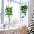 Set of 2 Hanging Planters for Indoor Outdoor Plants, 8 Inch Self-Watering Hanging Flower Pots with Drainage Hole & Removable Water-Storage Tray (Hooks)