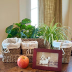 Organizer Basket Set, Set of 4, Includes 3 Lined Removable Bin-Baskets, One Caddy-Utility Basket, Handmade, Sea Grass, Cotton, Bow Ties, Honey Color, 15.75 Inches