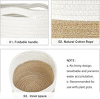 Dahey Small Cotton Rope Plant Basket Woven Plant Coiled Basket for Up to 7" Planter, Decorative Flower Pot Cover Closet Storage Bin Table Desk Organizer for Home Decor, White and Beige