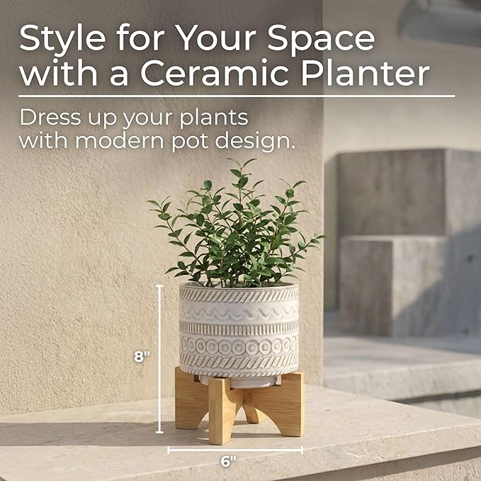 Ceramic Planter with Elevated Stand – Bamboo Indoor Plant Stand, Display for Greenery, Shelf or Patio Placement – Tribal Boho Design for Sculptural Height, Home Decor, Outdoor Decor – 8", Ivory