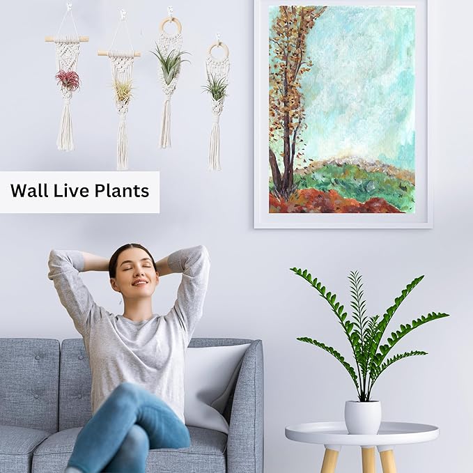 4 Pack Air Plants Holders, Wall Planters for Indoor Plants | Macrame Plant Hanger, Air Plant Hanger for Air Fern, Tillandsias (for Air Plant, NO Plant Included)