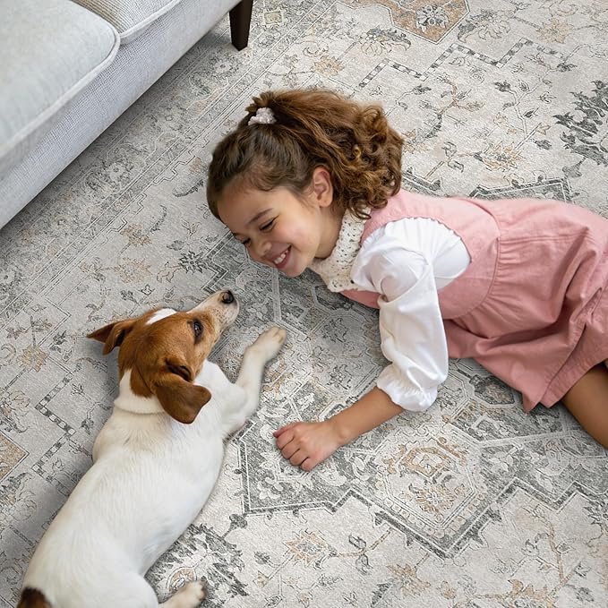 GENIMO Area Rug 32x48 inch Doormat, Machine Washable Low Pile Rugs, Small Retro Chenille Entryway Mat for Entrance, Hallway, Kitchen and Corridor, Light Taupe Brown