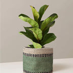 Sturdy Jute Planter Basket Modern Woven Basket for 6" Flower Pot Floor Indoor Planters, 6” x 6” Storage Organizer Basket Rustic Home Decor, Boho Storage Earth-Friendly Planter (6x6 inches, Green 6)