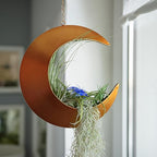 Hanging Crescent Moon Planter - Moon Room Decor - Unique Planters for Succulents, Air Plants, Cactus, Artificial Plants- Plant Lover Gifts - Boho, Hippie, Birthdays, Witchy Gifts for Women (Gold)